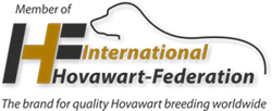 IHF logo