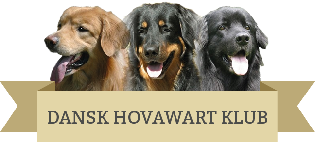 Dansk Hovawart Klub